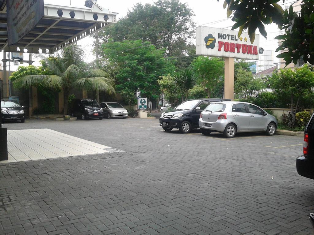 Fortuna 2*